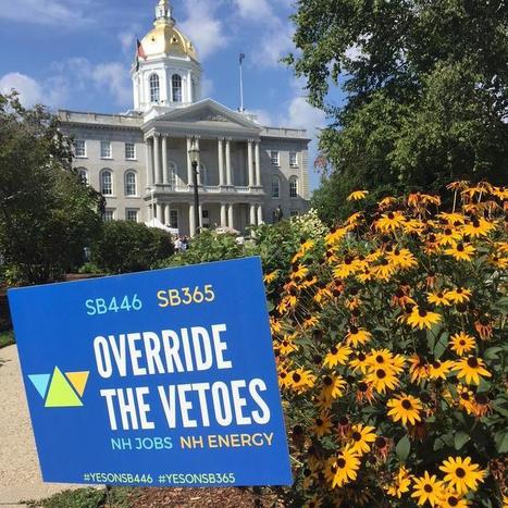 The Debate Over N.H.'s Biomass Industry | New Hampshire Public Radio | Timberland Investment | Scoop.it