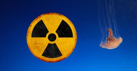 Pétition: On s’apprête à déverser des milliers de tonnes d’eaux usées radioactives dans le Pacifique | 16s3d: Bestioles, opinions & pétitions | Scoop.it