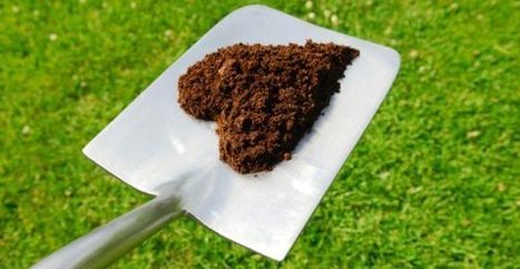 Come l'industria salvera' il compost e il compost salvera' il mondo | Orto, Giardino, Frutteto, Piante Innovative e Antiche Varietà | Scoop.it