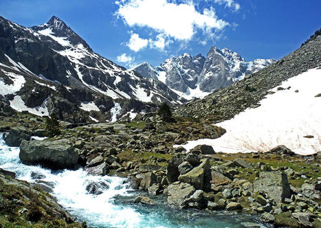 Les Pyrénées, sentinelle du changement climatique | Biodiversité | Scoop.it