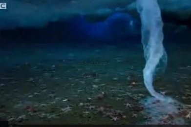 "Le doigt glacé de la mort" : la vidéo qui devient un phénomène | Mes ressources personnelles | Scoop.it