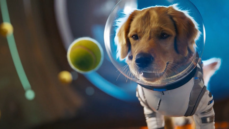 OpenAI just launched Sora 2 – an AI video app that lets you star in the scenes you generate | Education 2.0 & 3.0 | Scoop.it