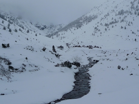 Vallée du Moudang. Isards et gypaète | Le blog de Michel BESSONE | Vallées d'Aure & Louron - Pyrénées | Scoop.it