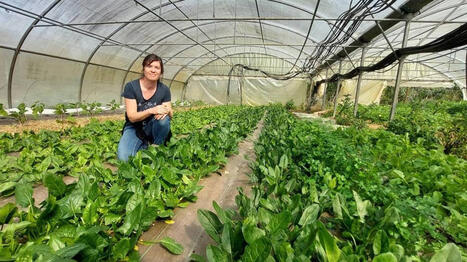 Les Jardins Mauves&nbsp;: L&rsquo;engagement de Lucie Evain pour une terre vivante et locale - Ouest France [Abonn&eacute;s] | Agriculture en Pays de la Loire | Scoop.it