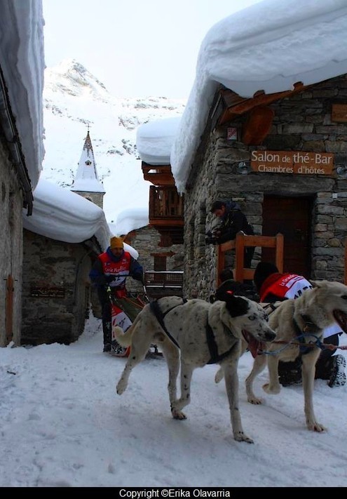 Savoie+Mont+Blanc+chiens+traineaux