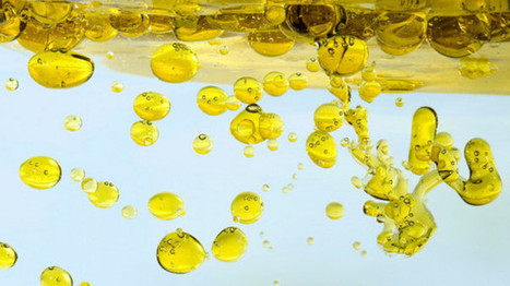 Next-generation emulsions the future for fat reduction, claim experts | ITERG - Nutrition, Santé et Biochimie des Lipides | Scoop.it