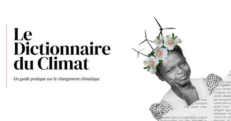 Le Dictionnaire du Climat : un guide pratique sur le changement climatique | Climate Promise | Fil de veille - FDF | Scoop.it