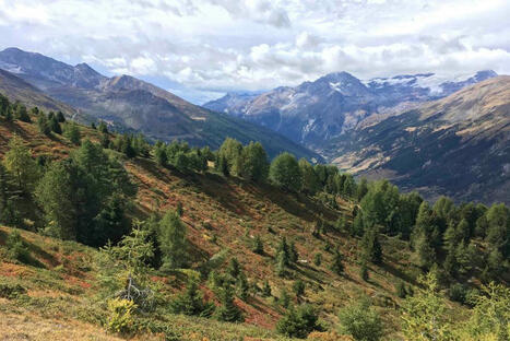 [France 3 Occitanie] "Nous avons été surpris par l'ampleur du résultat" : une nouvelle étude pointe l'impact majeur de l'homme sur la baisse de la biodiversité | Les laboratoires du CNRS Occitanie Ouest dans la presse | Scoop.it