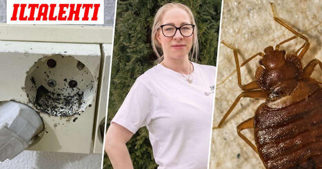 Karut kuvat julki: T&auml;lt&auml; n&auml;ytt&auml;&auml; kuhiseva ludekoti | 1Uutiset - Lukemisen t&auml;hden | Scoop.it