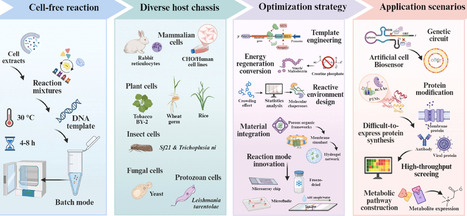 Eukaryotic cell-free protein synthesis: Chassis diversification, system engineering, and emerging applications | ssb | RMH | Scoop.it