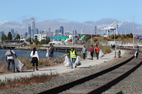 COVID: How California's Coastal Cleanup is different this year | Coastal Restoration | Scoop.it