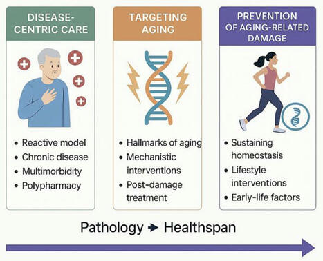 Innovative Approach in Healthcare Targets Prevention of Aging-Related | LongevityBluePrintRx | Scoop.it