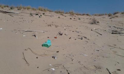 Chiffres clés 2024 du suivi des déchets échoués sur le littoral - Parc naturel marin Estuaire de la Gironde et de la mer des Pertuis | Biodiversité | Scoop.it