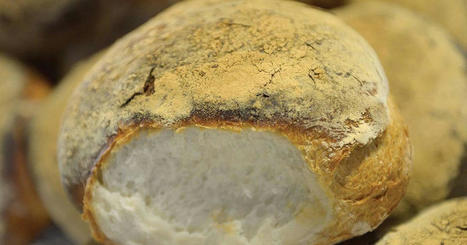 Sales of MALTESE bread plummet, village bakeries report | MED-Amin network | Scoop.it