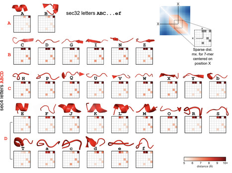 Rich structure alphabets enable highest accuracy protein search | brvai | RMH | Scoop.it