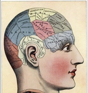 How Technology Wires the Learning Brain | Voices in the Feminine - Digital Delights | Scoop.it