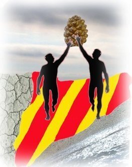 La teoria de la destrucci&oacute;, Joaquim Nadal | Diari de Miquel Iceta | Scoop.it