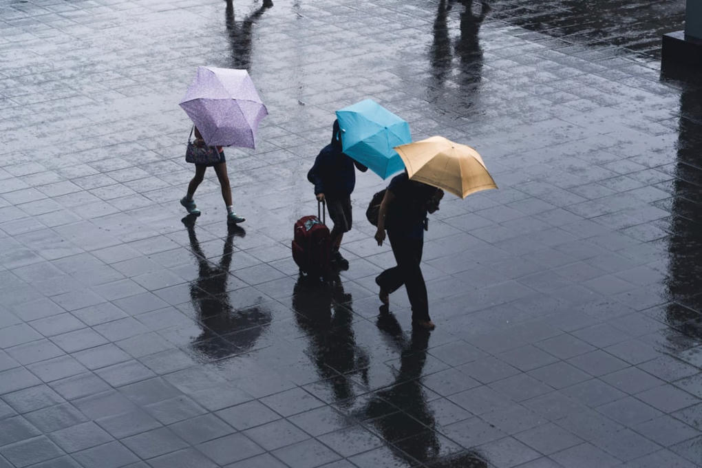 Seattle Prepares for Rain and Coastal Flooding ...