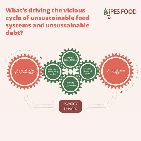 IPES FOOD | SPECIAL REPORT | DEBT & FOOD CRISIS | CIHEAM Press Review | Scoop.it