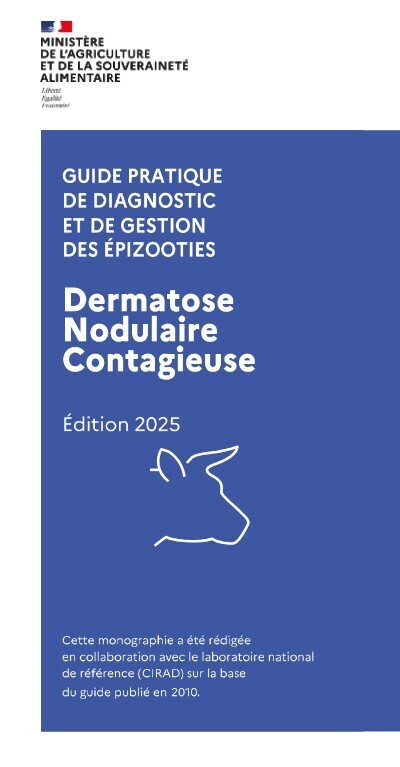 La dermatose nodulaire contagieuse bovine (DNC) | Insect Archive | Scoop.it