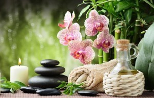 Les huiles végétales | Aromathologie | Scoop.it