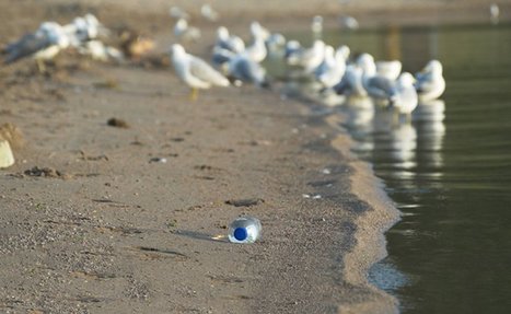 Environment Ministers Discussed Circular Economy And Plastics Strategy &ndash; | TheCircularEconomy.com | Scoop.it
