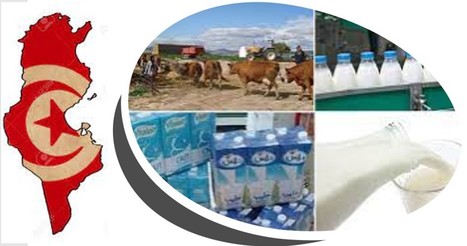 Le dilemme de la filière lait en Tunisie : Comment on en est arrivé à cette situation ? | Lait de Normandie... et d'ailleurs | Scoop.it
