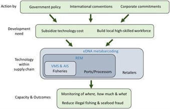 [article scientifique] Frontiers | Emerging monitoring technologies to reduce illegal fishing activities at sea and prevent entry of fraudulent fish into markets | HALIEUTIQUE MER ET LITTORAL | Scoop.it