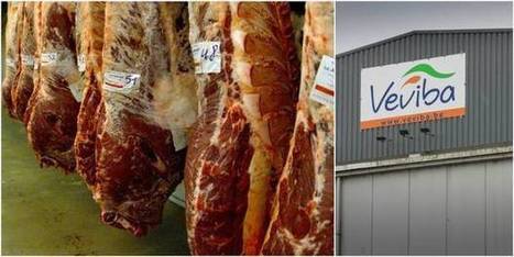 Belgique. Le patron de l'Afsca remis en cause dans le scandale Veviba - La DH | La Gazette des abattoirs | Scoop.it