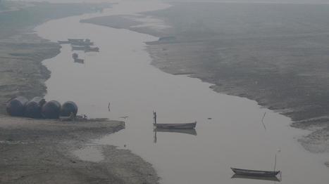 Confinement en Inde : le miracle du Gange | Biodiversité | Scoop.it
