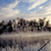 Australian Water Education Resources - Home Page | Geography classroom | Scoop.it