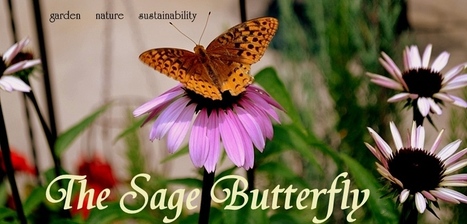 The Sage Butterfly: Brush Piles Are For the Birds | Gardening Life | Scoop.it