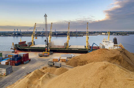 Kazakhstan and TÜRKIYE to create joint grain hub | MED-Amin network | Scoop.it
