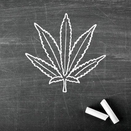 Cannabis: What are the risks for students? | The Facts on Education by  Christina Grant | iGeneration - 21st Century Education (Pedagogy & Digital Innovation) | Scoop.it