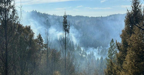 Coyote Fire now 10% contained in El Dorado County, evacuation warnings remain | California News | 2news.com | Operation Deimos | Scoop.it