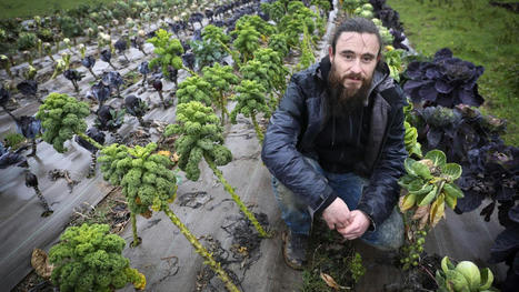L’ "agglo" Lens-Liévin veut financer la création d’espaces agricoles communaux | revue de presse | Scoop.it