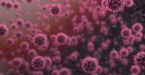 26 Coronavirus Myths Busted | dis.infected | Scoop.it