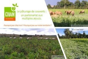Guide "Le pâturage de couverts : un partenariat aux multiples atouts" | Lait de Normandie... et d'ailleurs | Scoop.it