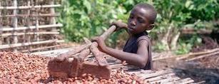 € 116 millions et un nouvel angle d'attaque contre le travail des enfants dans le cacao ivoirien : la pauvreté | Initiatives pour un monde meilleur | Scoop.it