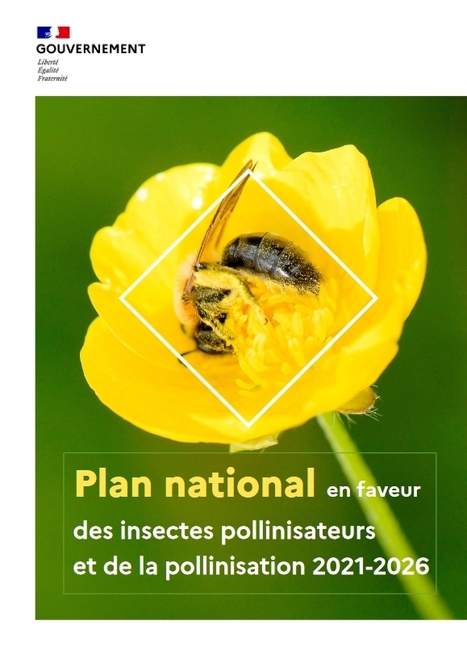 Plan national en faveur des insectes pollinisateurs et de la pollinisation 2021-2026 | EntomoNews | Scoop.it