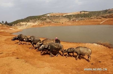Chine : la sécheresse persistante assèche des lacs au Yunnan - china radio international | Kunming-Yunnan | Scoop.it