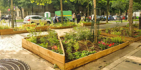 Quand les citadins cultivent la ville | ESPACES VEGETALISES URBAINS | Scoop.it