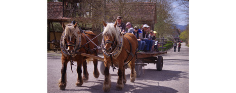 Quarante bougies pour l'Ecomus&eacute;e d'Alsace, du sauvetage des maisons &agrave; colombages &agrave; l'entreprise touristique et &eacute;cologique | Th&eacute;matique culture et histoire de l'Alsace | Scoop.it