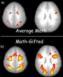 Neurolearning: Mathematical Minds | Amazing Science | Scoop.it