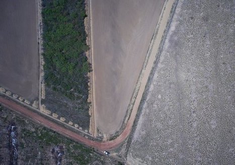 Amazon Deforestation, Once Tamed, Comes Roaring Back | AMÉRIQUES | Scoop.it