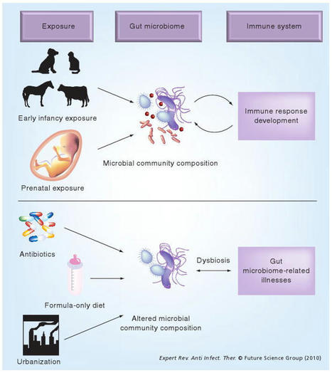 Role of the gut microbiota in defining human he...