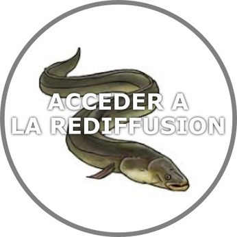 Replay - Web conférences sur les milieux humides | Biodiversité | Scoop.it