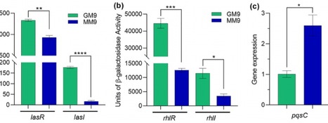 Malonate utilization by Pseudomonas aeruginosa affects quorum‐sensing and virulence and leads to formation of mineralized biofilm‐like structures - MMB | RMH | Scoop.it