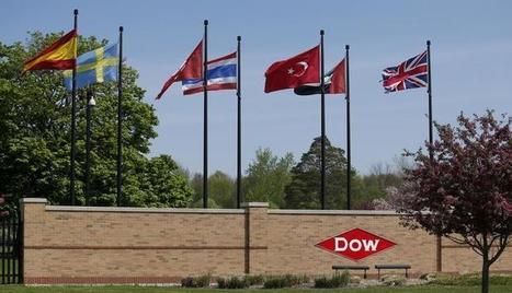 China's CITIC Agri Fund buys Dow corn seed assets for $1.1 billion | ASIES | Scoop.it
