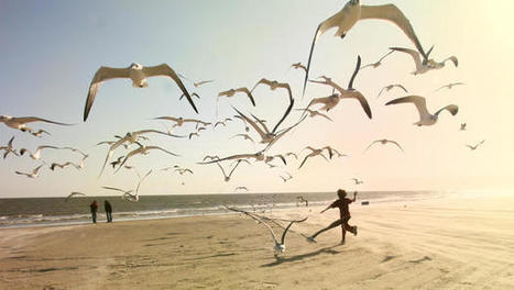 The 6 Best Tools For Creative Work, According To Science | Magpies and Octopi | Scoop.it